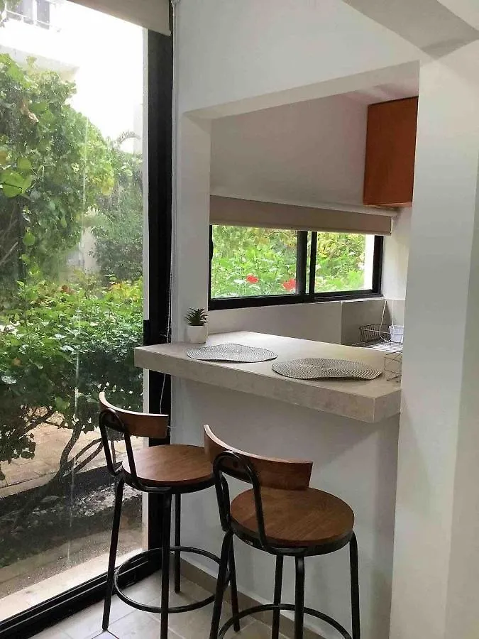 Homely And Comfortable Studio 3 Blocks To 5Th Av Playa del Carmen Mexico