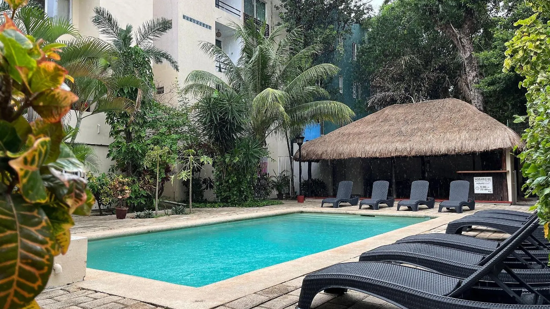 Apartment Homely And Comfortable Studio 3 Blocks To 5Th Av Playa del Carmen Mexico