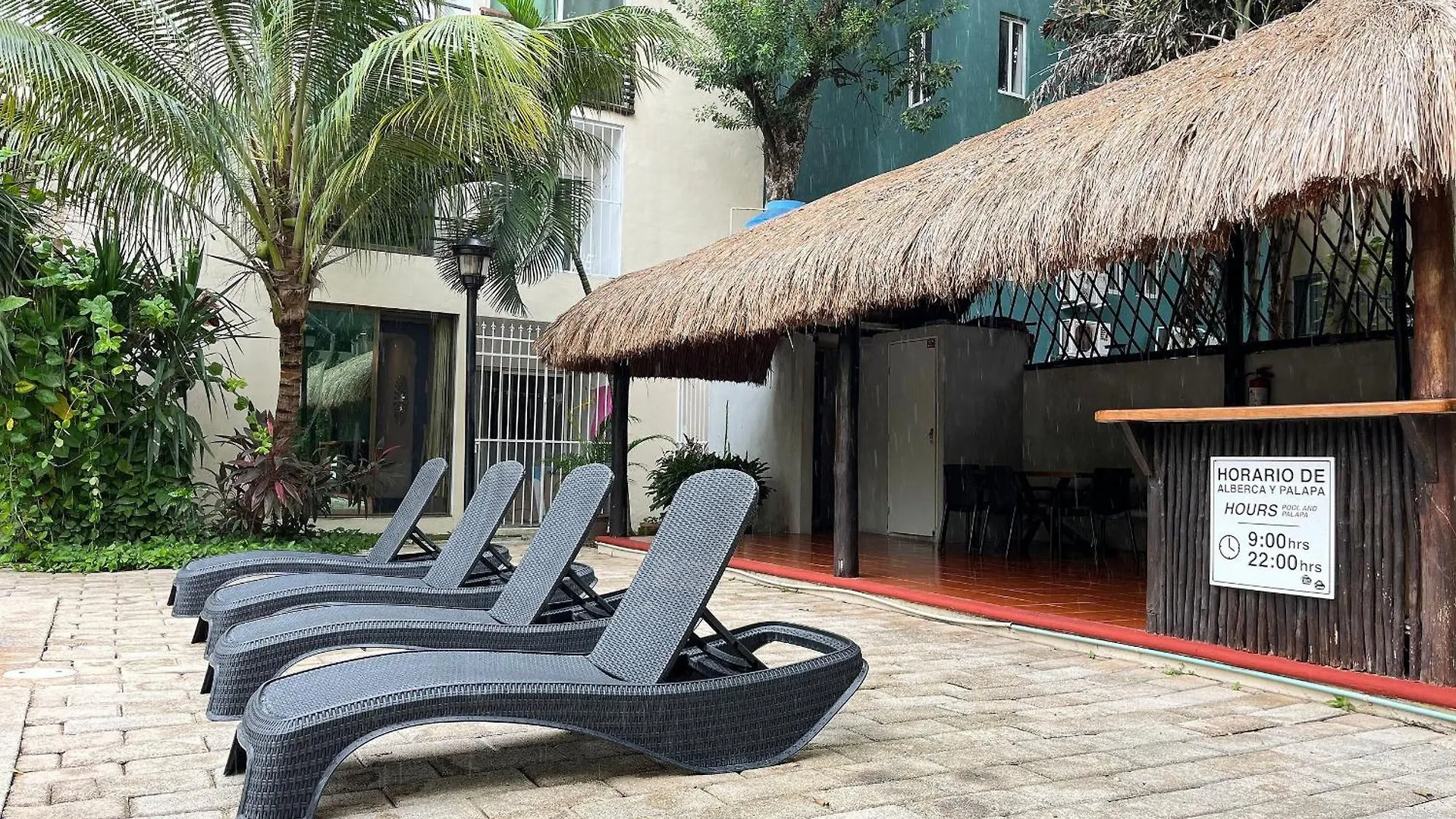 Homely And Comfortable Studio 3 Blocks To 5Th Av Playa del Carmen
